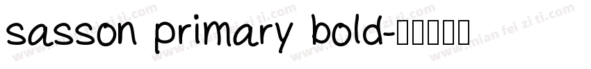 sasson primary bold字体转换